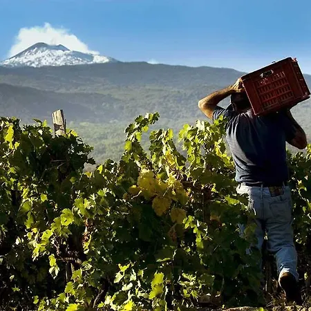 דירה Bed In Sicily - E Bagno Privato